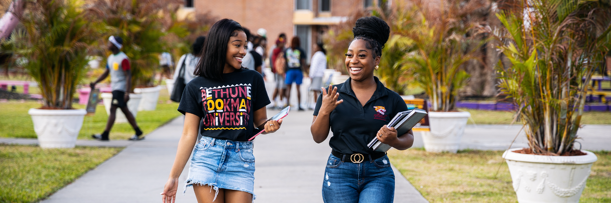 Academics banner